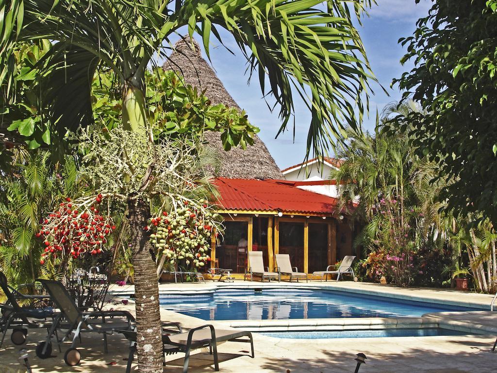 Guacamaya Lodge Paraíso